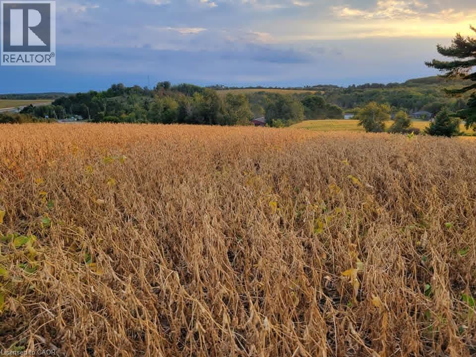 979 County Rd 30 Road, Brighton, Ontario  K0K 1H0 - Photo 6 - 40797642