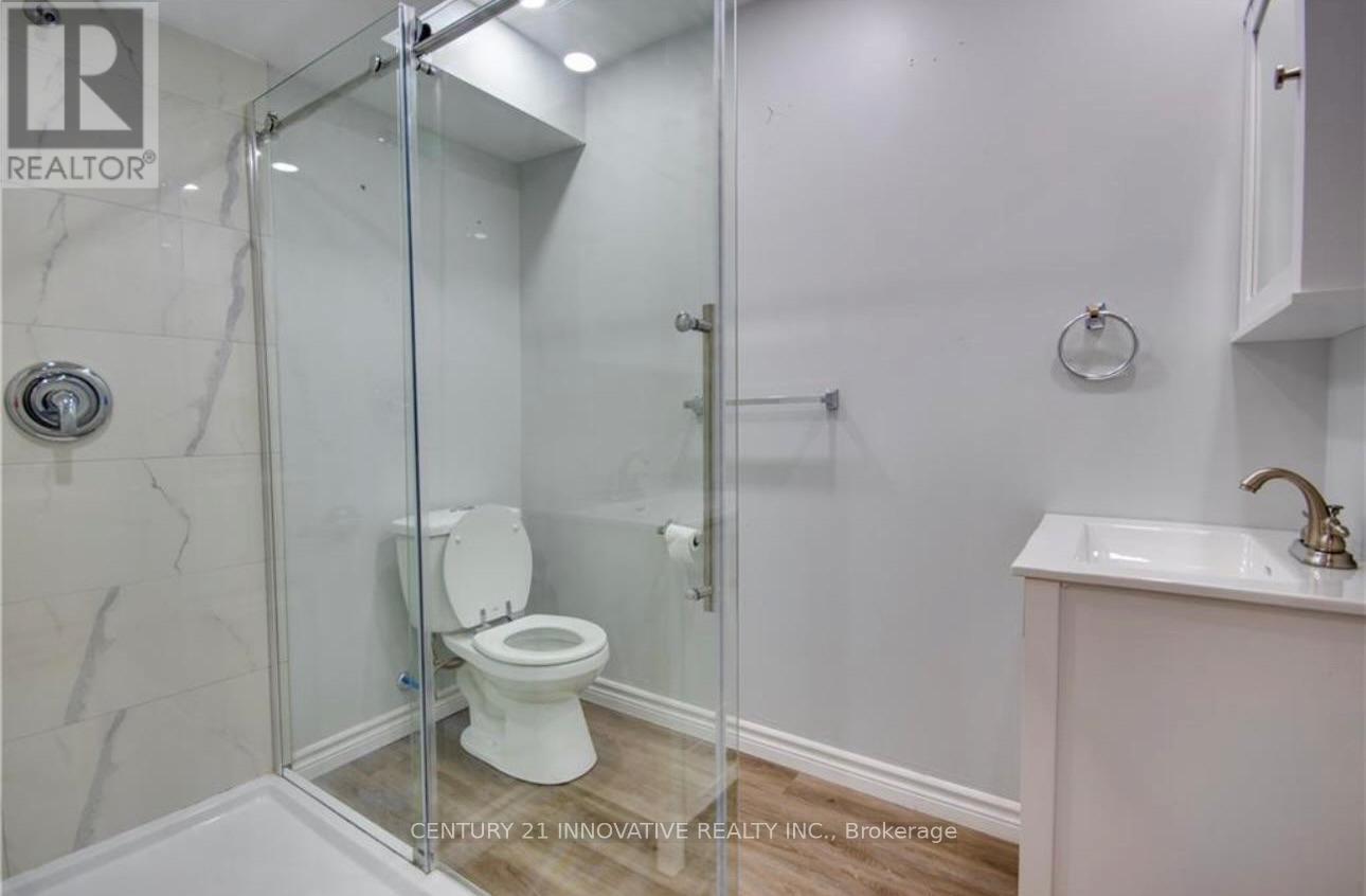 Basement - 165 Emick Drive, Hamilton, Ontario  L9K 0C9 - Photo 14 - X12684428