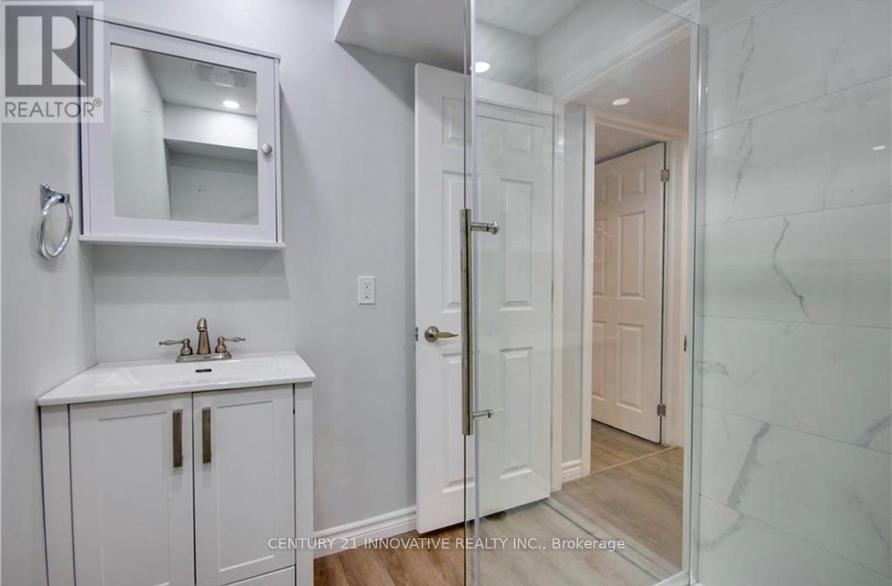 Basement - 165 Emick Drive, Hamilton, Ontario  L9K 0C9 - Photo 15 - X12684428