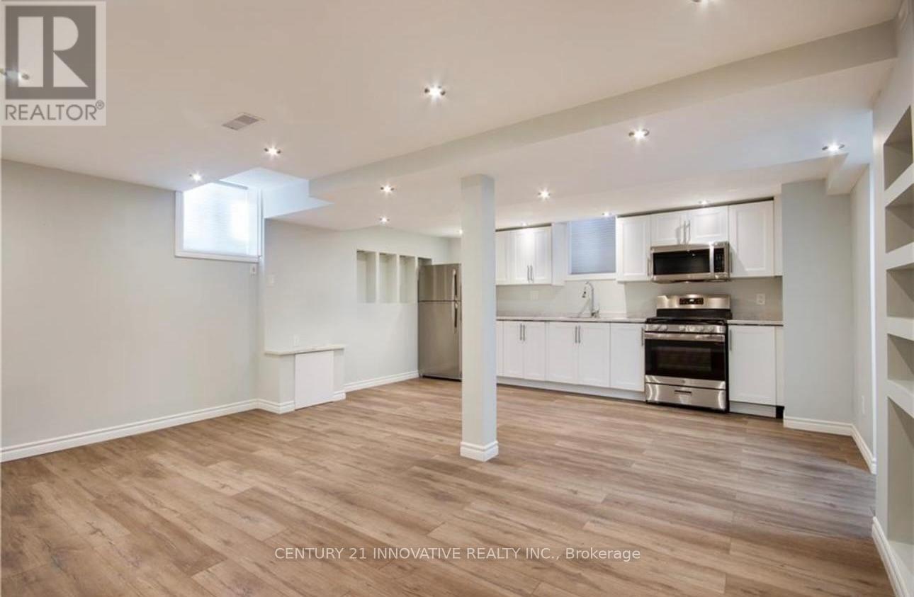 Basement - 165 Emick Drive, Hamilton, Ontario  L9K 0C9 - Photo 3 - X12684428