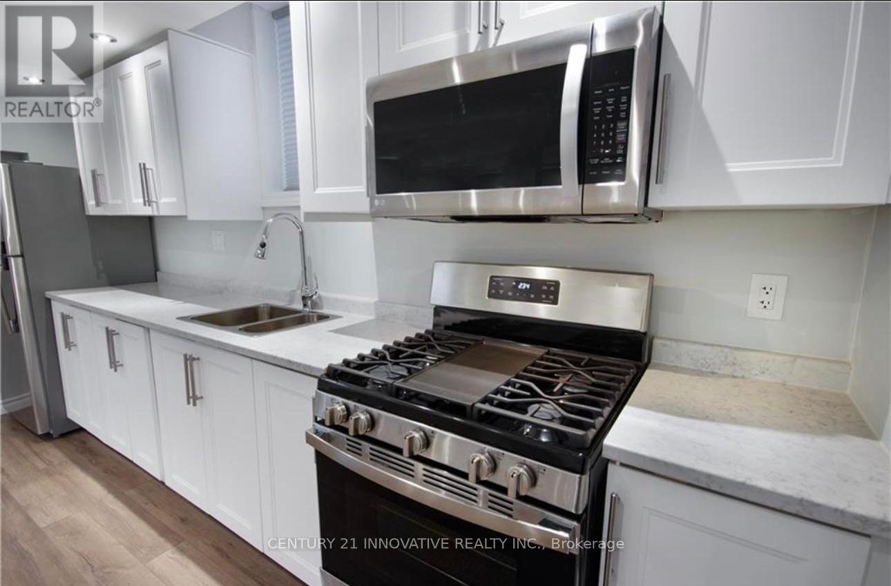 Basement - 165 Emick Drive, Hamilton, Ontario  L9K 0C9 - Photo 7 - X12684428