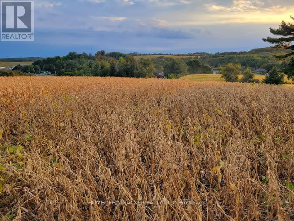 979 County Rd 30 Road, Brighton, Ontario  K0K 1H0 - Photo 5 - X12684448