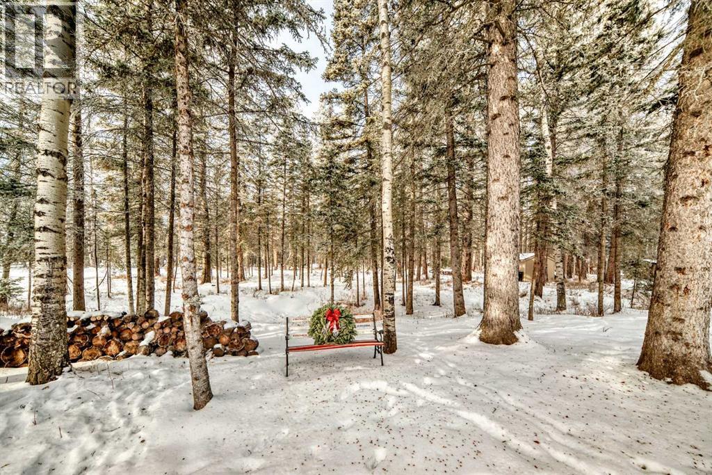 50 Manyhorses Drive, Rural Rocky View County, Alberta  T3Z 1A4 - Photo 44 - A2276936