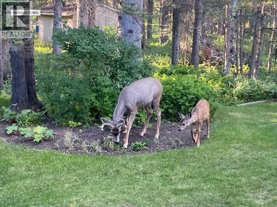 50 Manyhorses Drive, Rural Rocky View County, Alberta  T3Z 1A4 - Photo 48 - A2276936