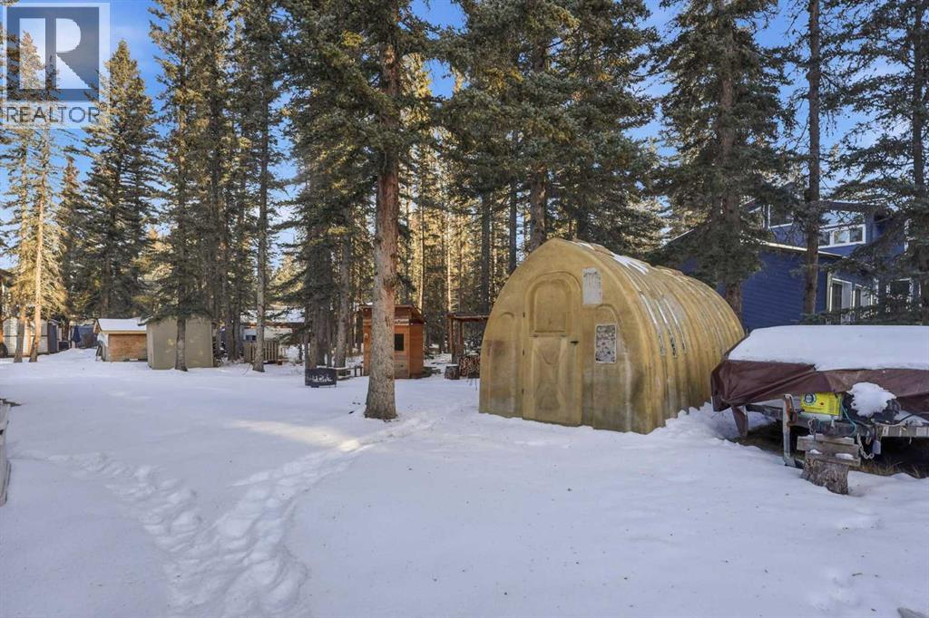 38 Wolf Drive, Rural Rocky View County, Alberta  T3Z 1A3 - Photo 45 - A2277293