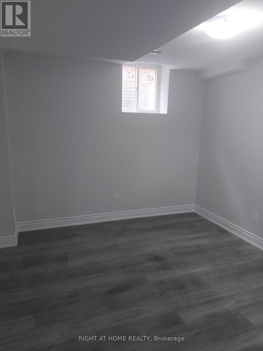 Basement - 446 Petitte Trail Court, Milton, Ontario  L9T 6W8 - Photo 7 - W12684492