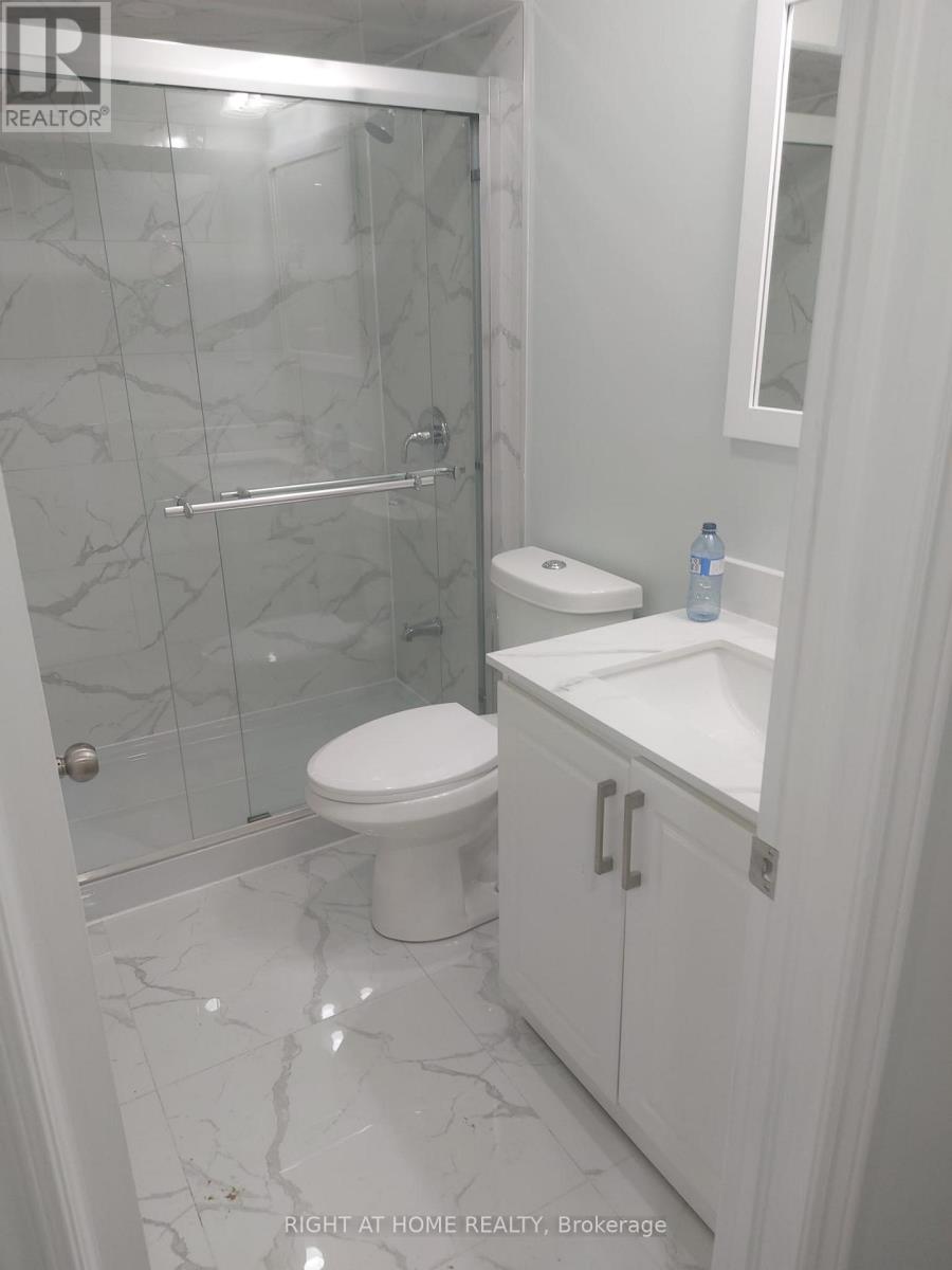 Basement - 446 Petitte Trail Court, Milton, Ontario  L9T 6W8 - Photo 8 - W12684492