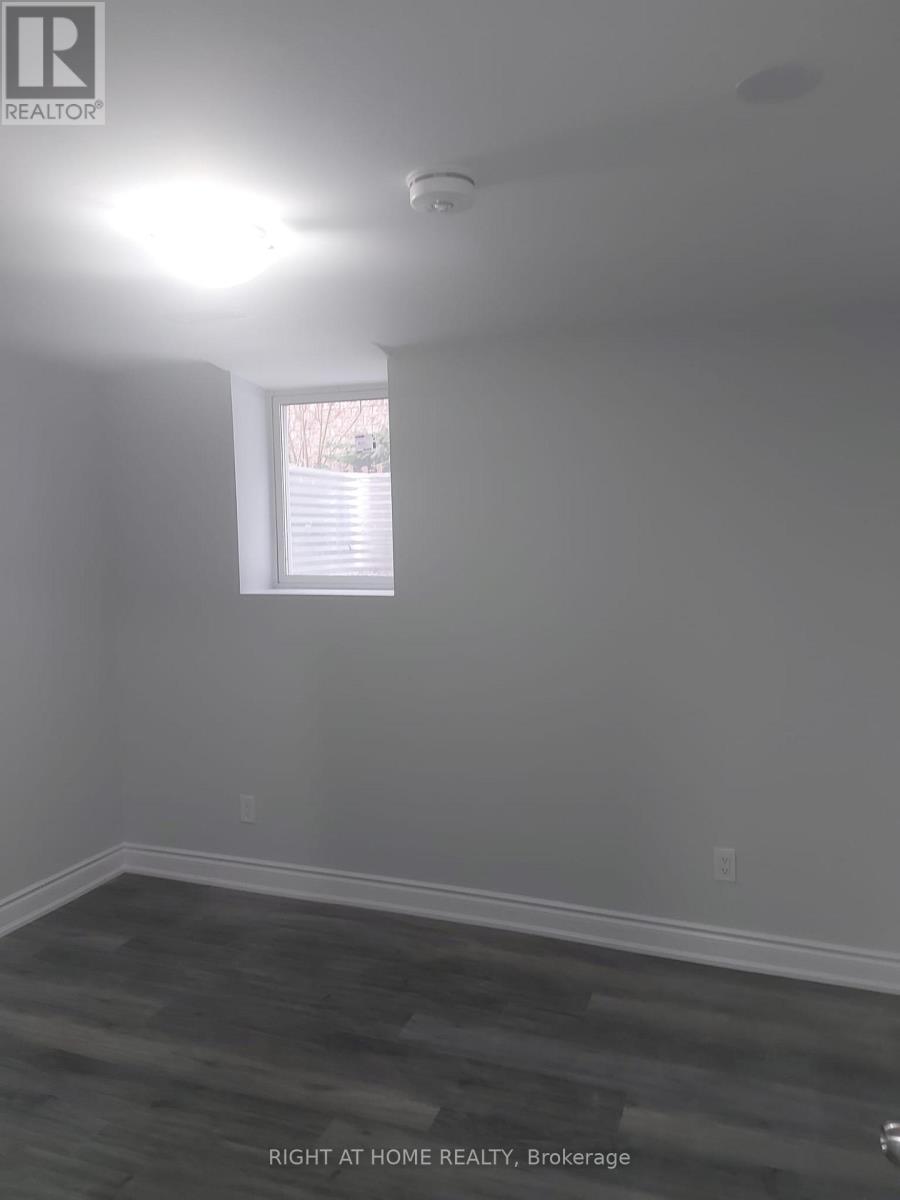 Basement - 446 Petitte Trail Court, Milton, Ontario  L9T 6W8 - Photo 9 - W12684492