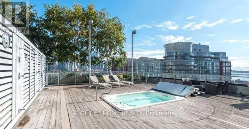 203 - 38 Dan Leckie Way Street, Toronto, Ontario  M5V 2V6 - Photo 15 - C12684710