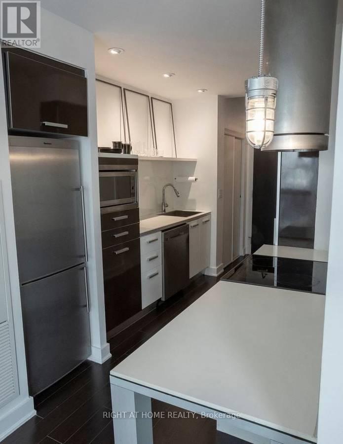 203 - 38 Dan Leckie Way Street, Toronto, Ontario  M5V 2V6 - Photo 4 - C12684710