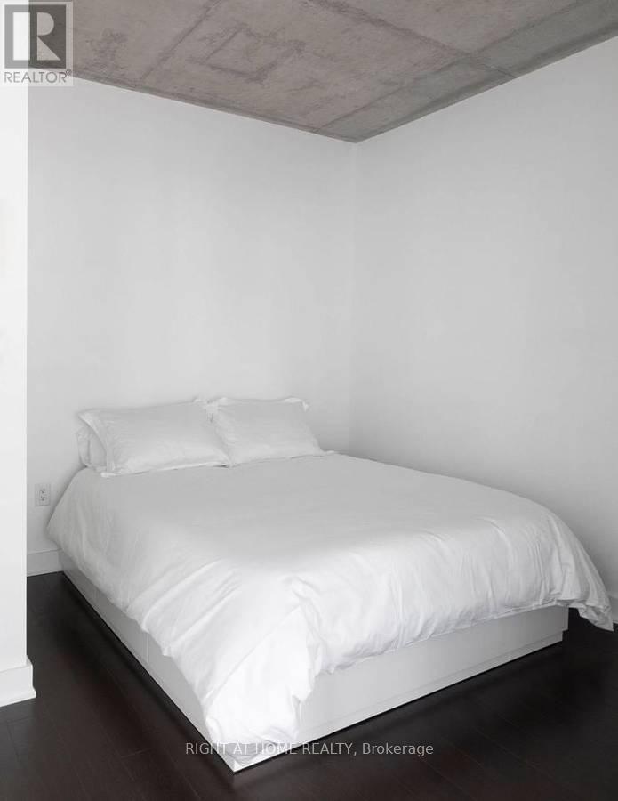 203 - 38 Dan Leckie Way Street, Toronto, Ontario  M5V 2V6 - Photo 8 - C12684710