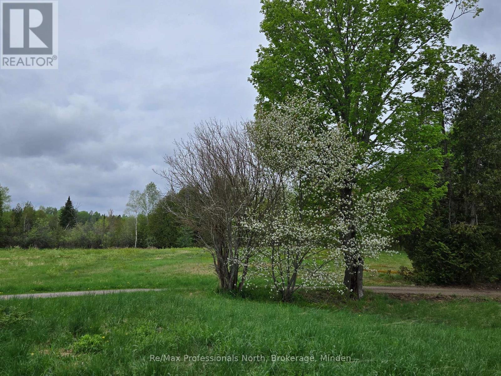 1047 Mccrea Road, Highlands East, Ontario K0L 2Y0 - Photo 45 - X11822936