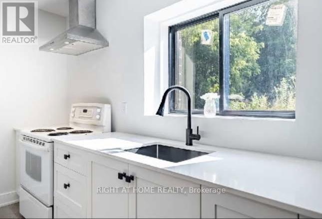 Lower Level - 215 Bayview Avenue, Georgina, Ontario  L4P 2T3 - Photo 10 - N12631364