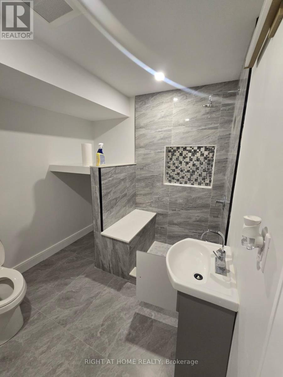 Lower Level - 215 Bayview Avenue, Georgina, Ontario  L4P 2T3 - Photo 7 - N12631364