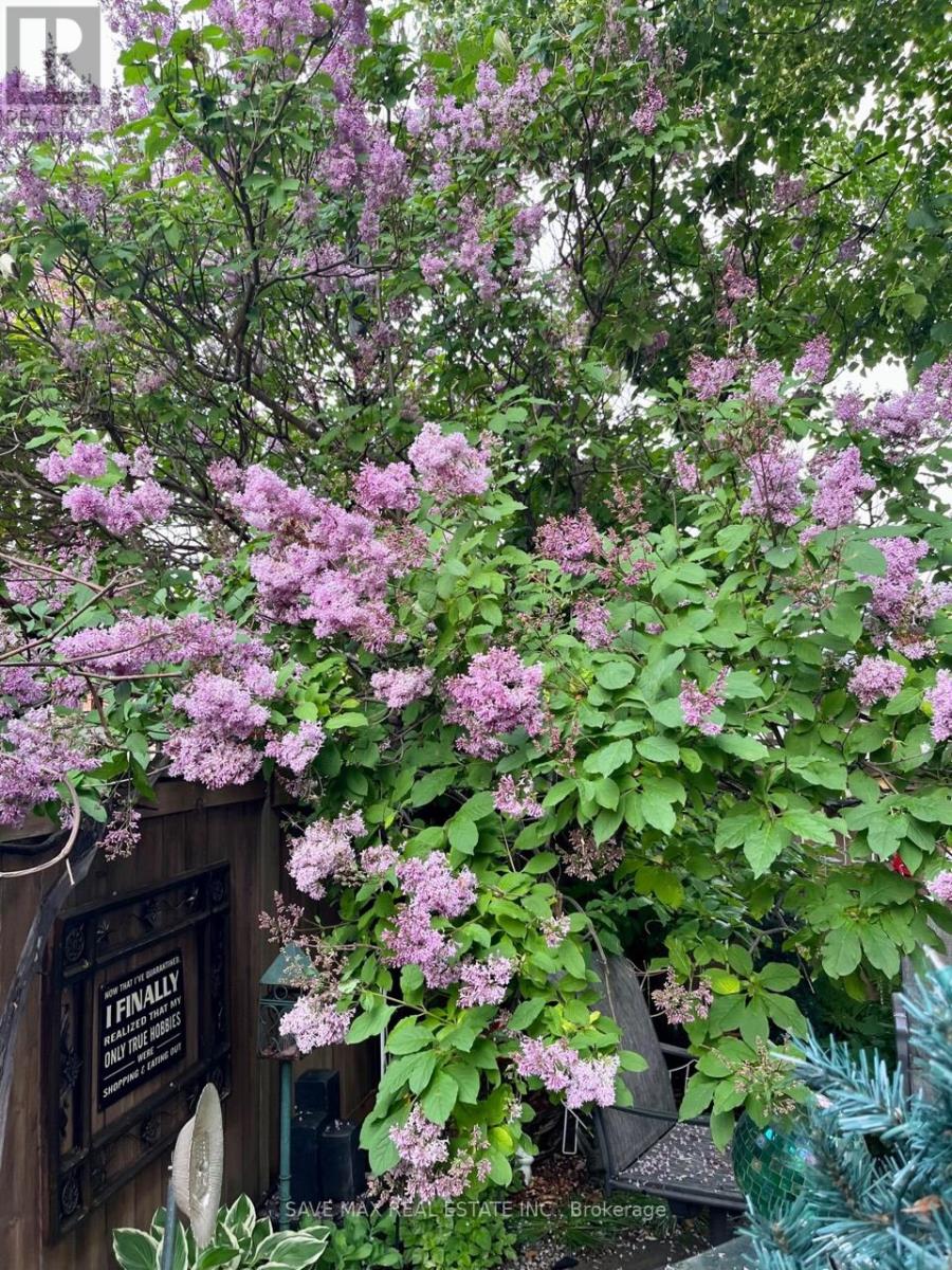 13 Pressed Brick Drive, Brampton, Ontario  L6V 4K8 - Photo 40 - W12659396