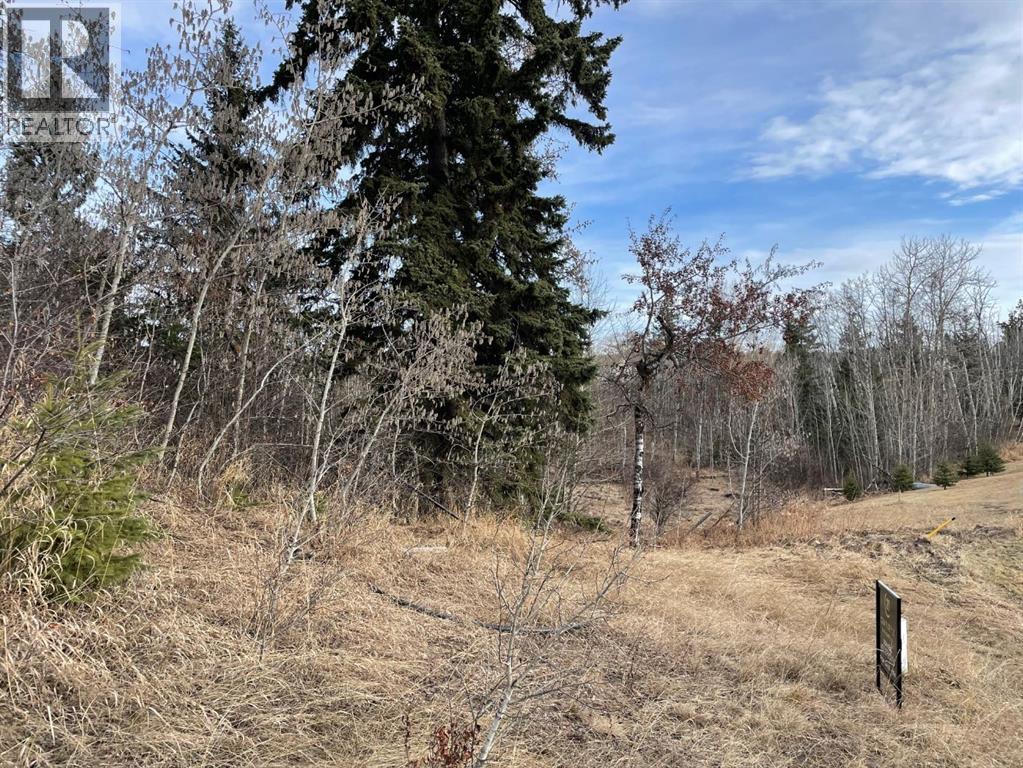 130 & 132 Wolf Run Drive, Rural Ponoka County, Alberta  T4J 1R3 - Photo 6 - A2211725