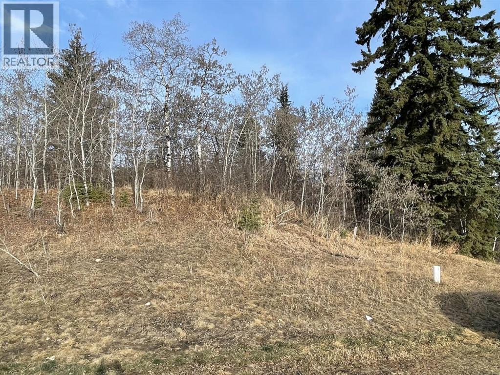 130 & 132 Wolf Run Drive, Rural Ponoka County, Alberta  T4J 1R3 - Photo 4 - A2211725