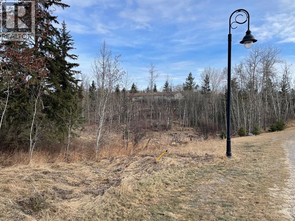 130 & 132 Wolf Run Drive, Rural Ponoka County, Alberta  T4J 1R3 - Photo 3 - A2211725