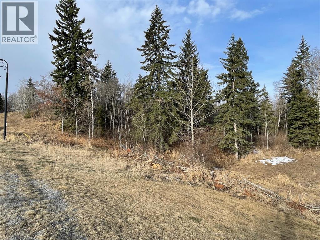 130 & 132 Wolf Run Drive, Rural Ponoka County, Alberta  T4J 1R3 - Photo 5 - A2211725