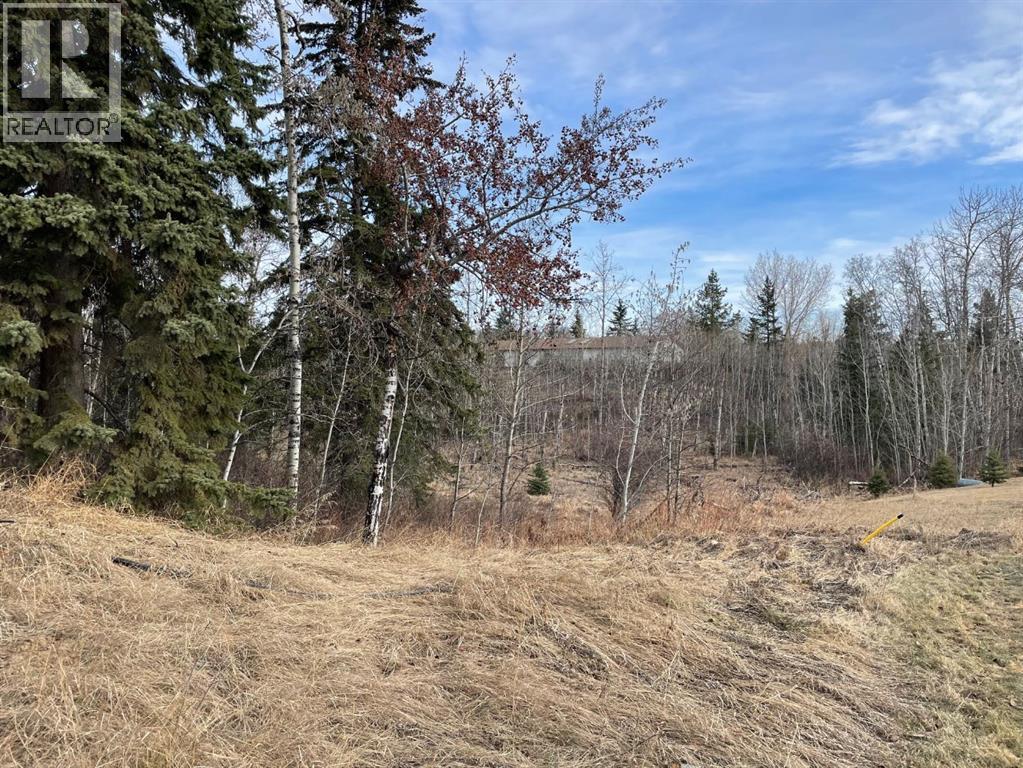 130 & 132 Wolf Run Drive, Rural Ponoka County, Alberta  T4J 1R3 - Photo 2 - A2211725