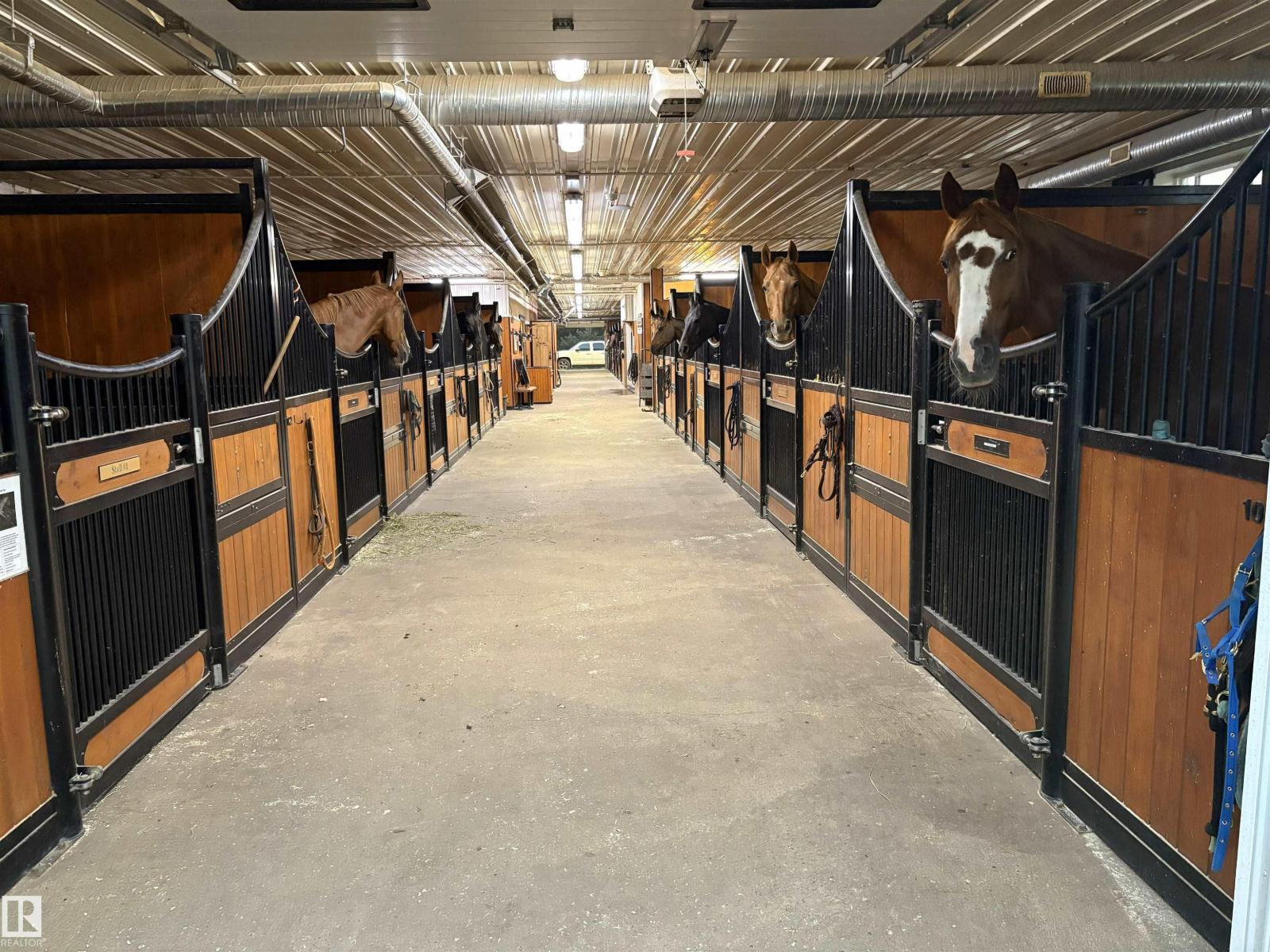 26113 Twp Rd 514, Rural Parkland County, Alberta  T7Y 1B5 - Photo 5 - E4469723