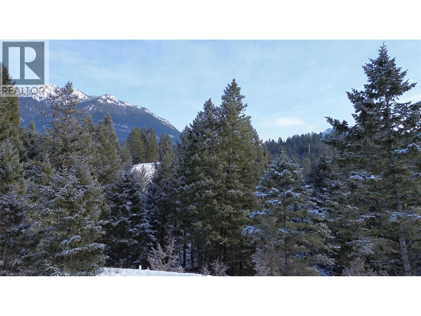 7114 Morgan Lane, Radium Hot Springs, British Columbia  V0A 1M0 - Photo 43 - 10371096