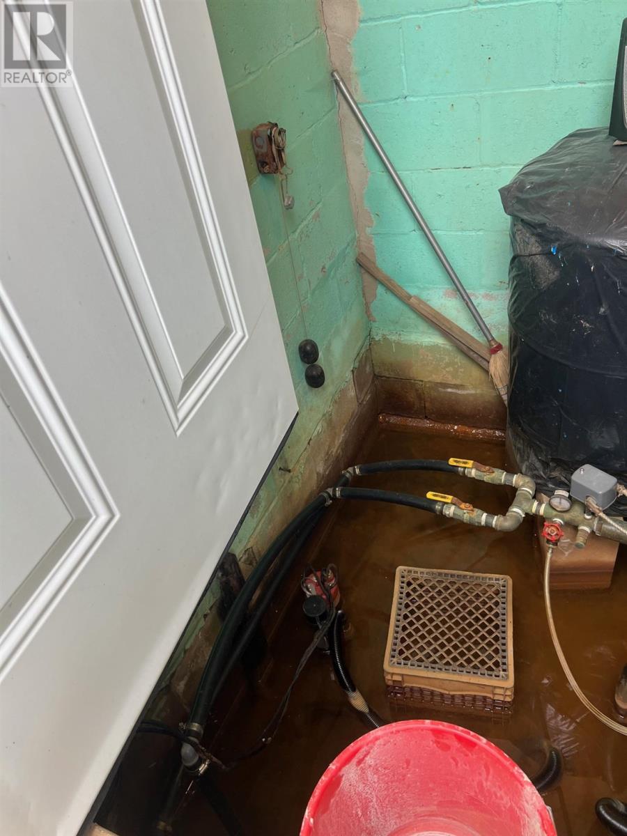 664 Frontenac St, Sault Ste. Marie, Ontario  P6A 5K9 - Photo 10 - SM253375