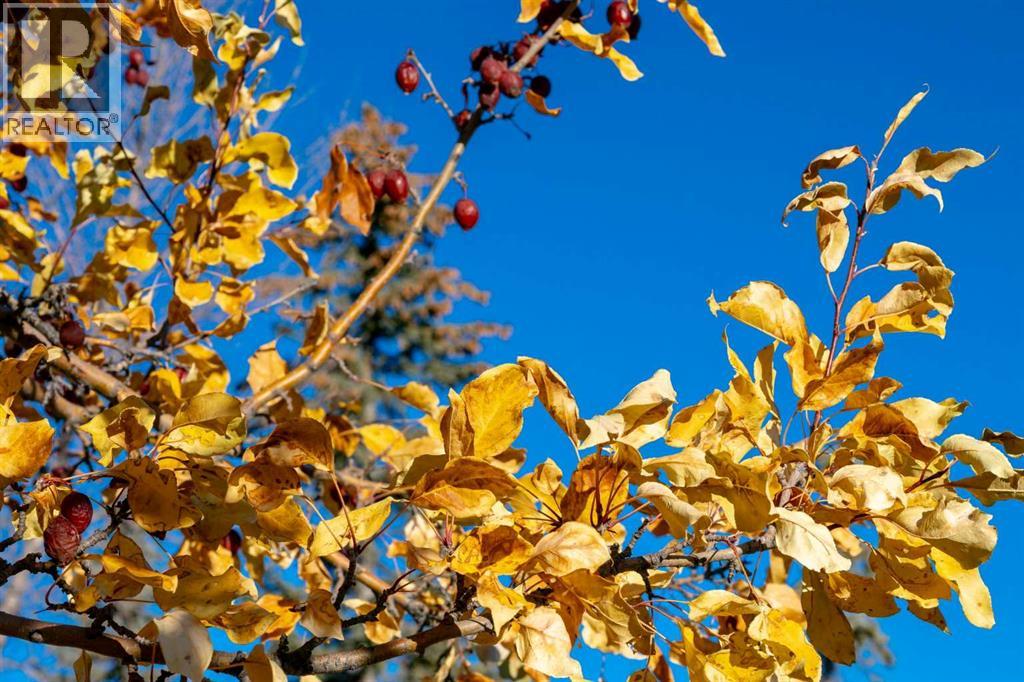 118 Sienna Hills Drive Sw, Calgary, Alberta  T3H 2C8 - Photo 3 - A2266014