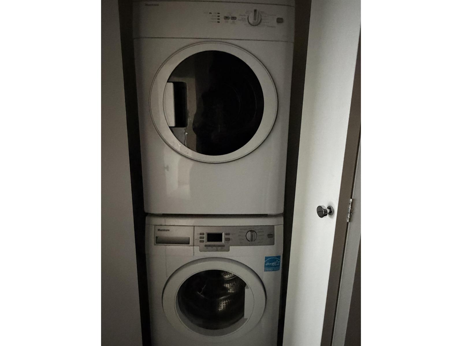 3909 13750 100 Avenue, Surrey, British Columbia  V3T 0L3 - Photo 19 - R3074249