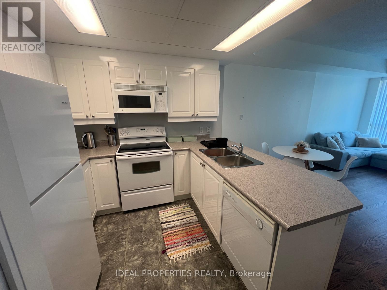 207 - 134 York Street E, Ottawa, Ontario  K1N 1K8 - Photo 10 - X12685236