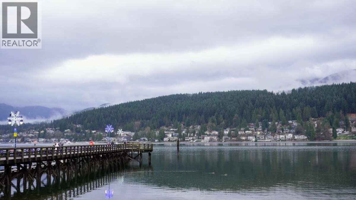 316 3038 St George Street, Port Moody, British Columbia  V3H 0L3 - Photo 25 - R3075247