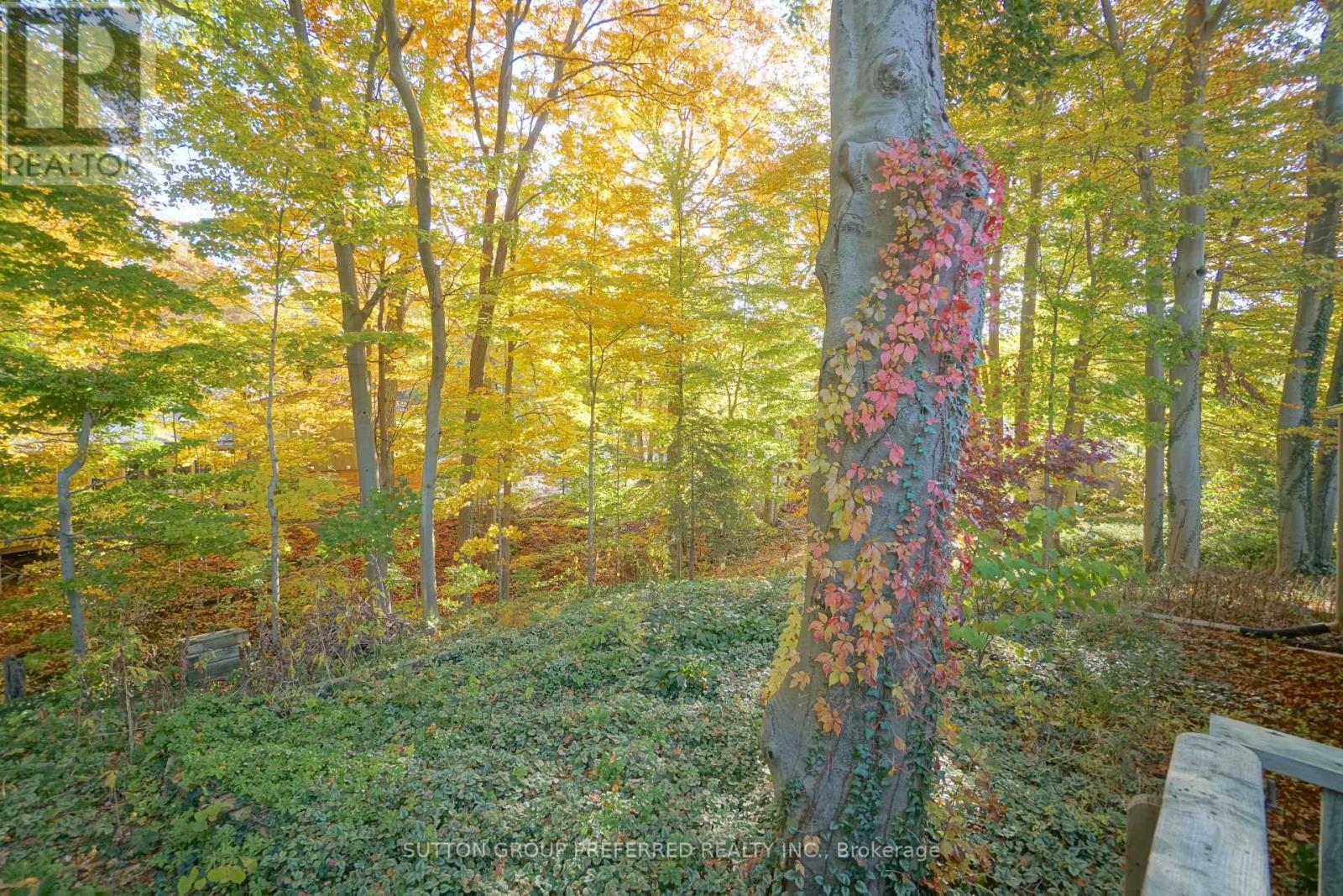 7 Metamora Crescent, London North, Ontario  N6G 1R2 - Photo 44 - X12685544