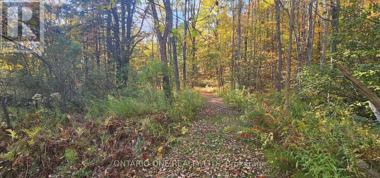 1479 11 Highway S, Gravenhurst, Ontario  P0E 1G0 - Photo 31 - X12685576