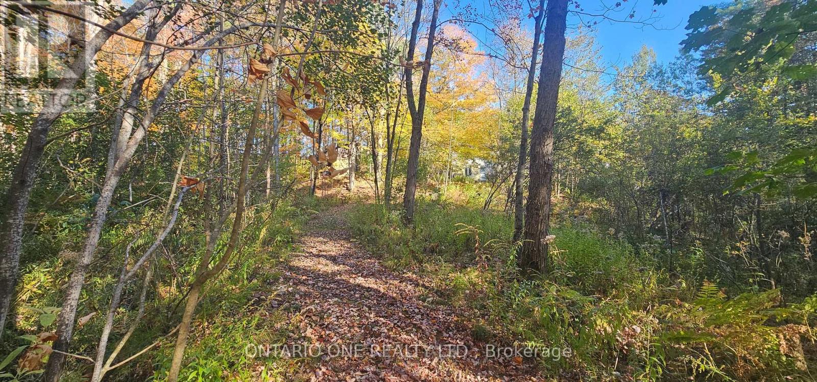 1479 11 Highway S, Gravenhurst, Ontario  P0E 1G0 - Photo 35 - X12685576