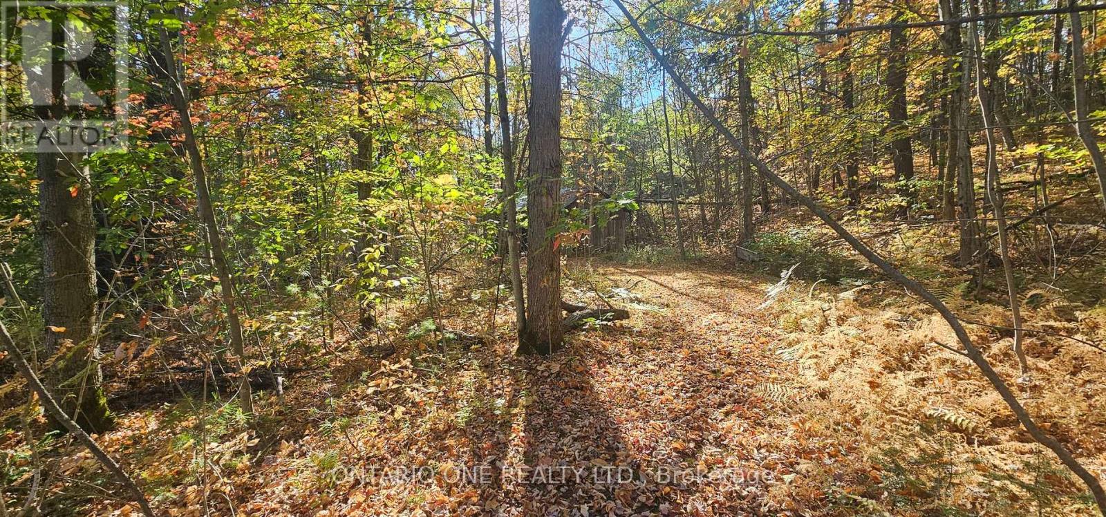 1479 11 Highway S, Gravenhurst, Ontario  P0E 1G0 - Photo 36 - X12685576