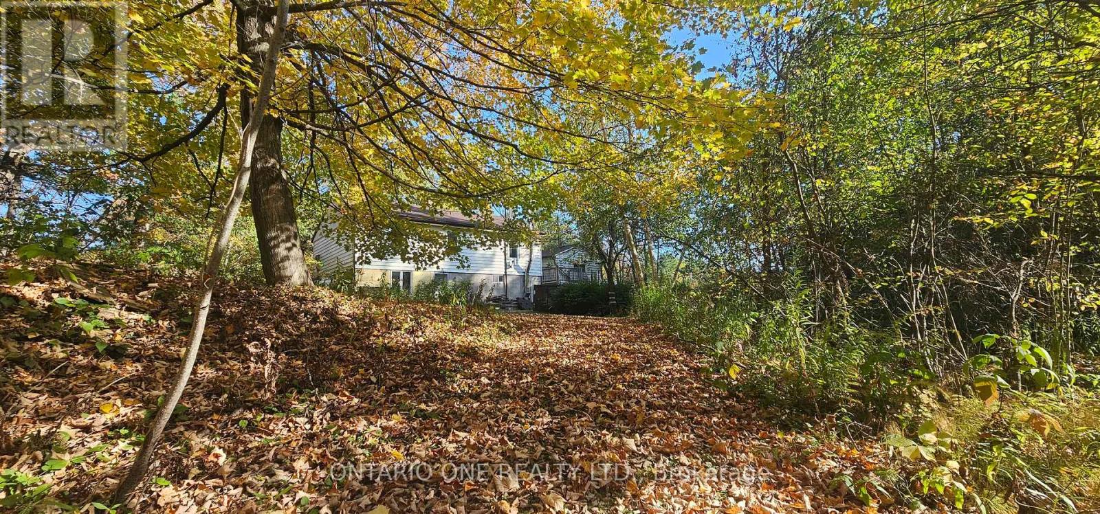 1479 11 Highway S, Gravenhurst, Ontario  P0E 1G0 - Photo 37 - X12685576