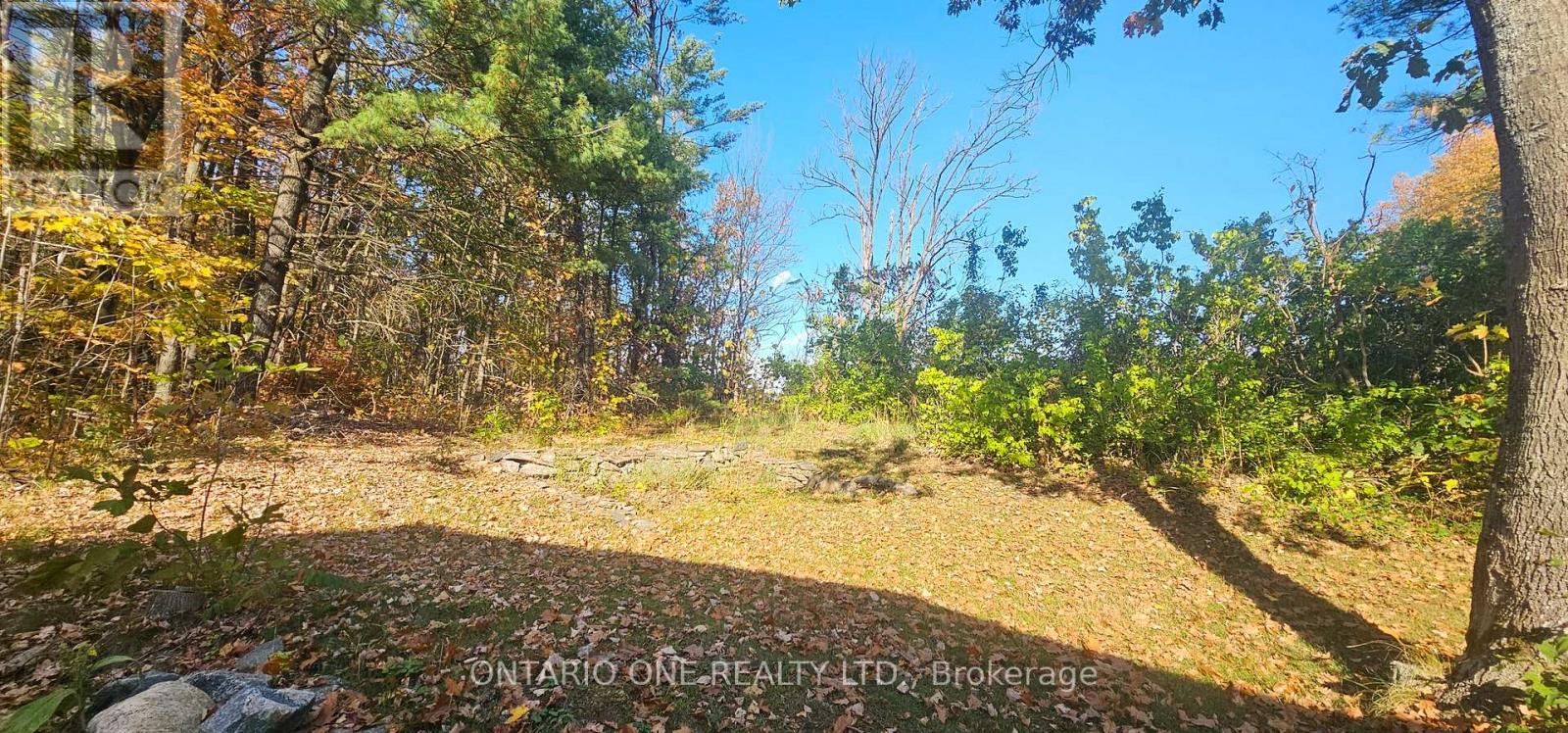 1479 11 Highway S, Gravenhurst, Ontario  P0E 1G0 - Photo 38 - X12685576