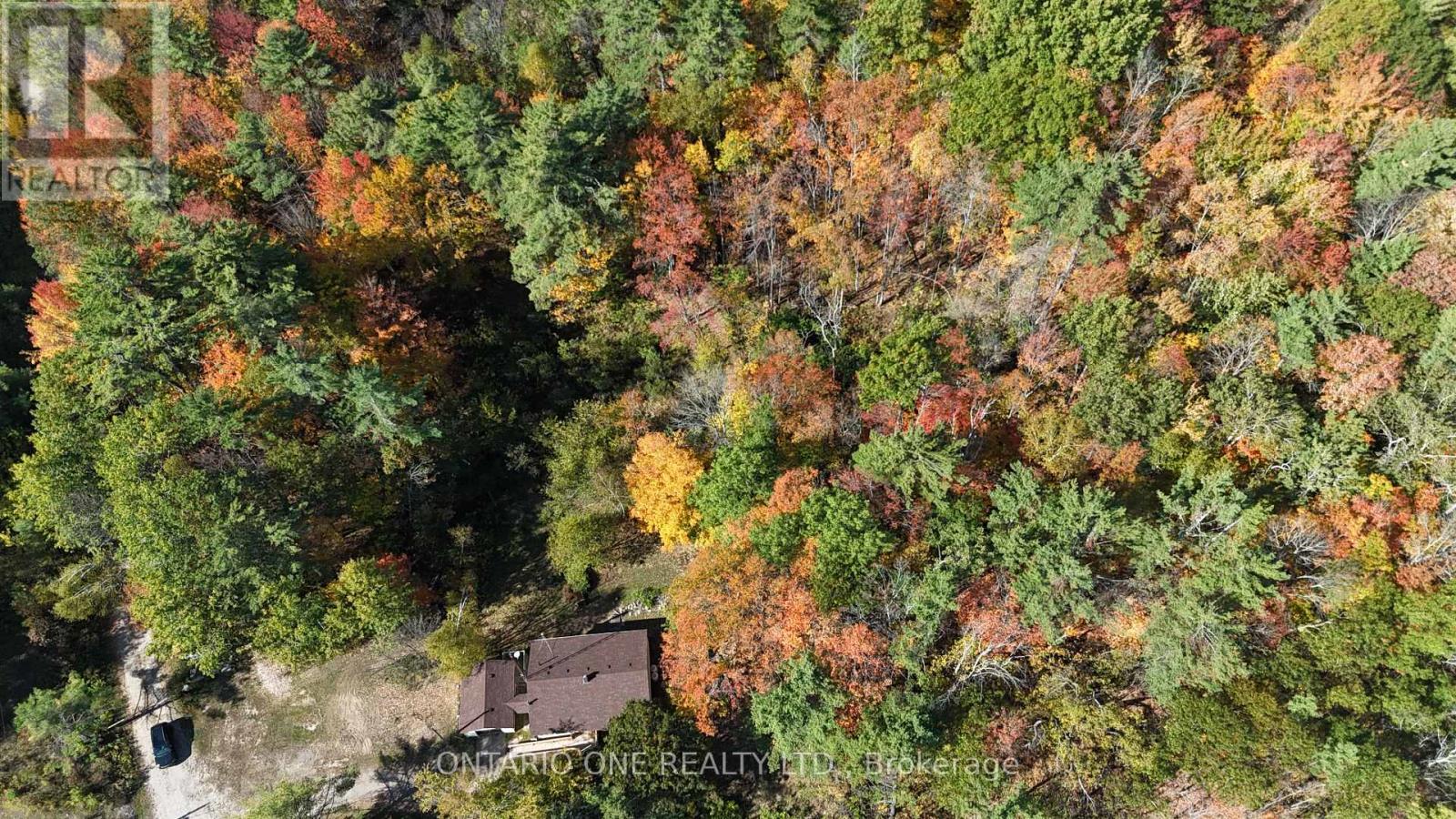 1479 11 Highway S, Gravenhurst, Ontario  P0E 1G0 - Photo 39 - X12685576