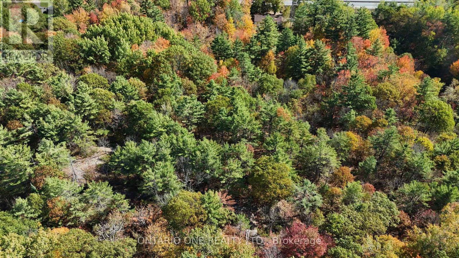 1479 11 Highway S, Gravenhurst, Ontario  P0E 1G0 - Photo 40 - X12685576