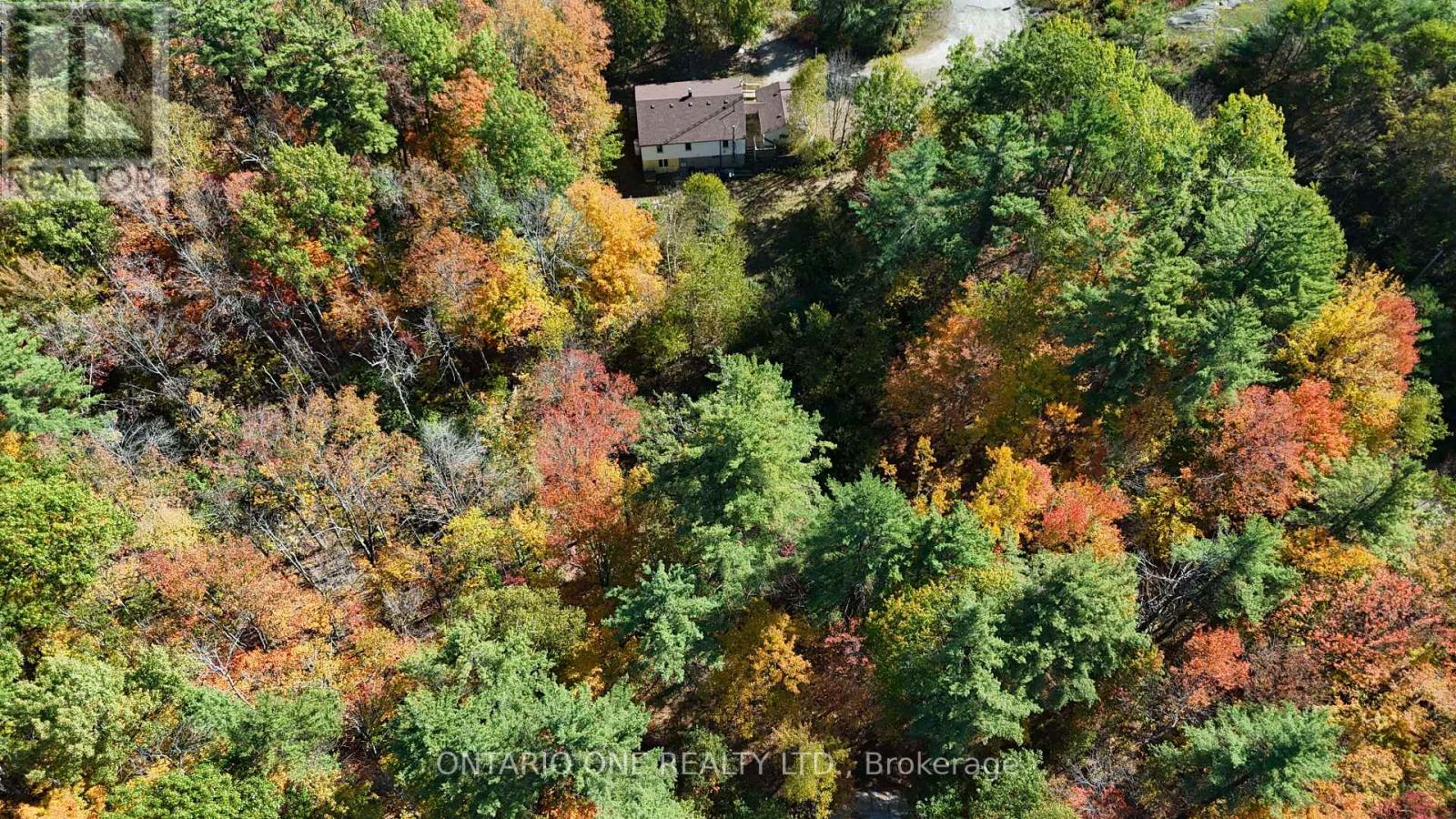 1479 11 Highway S, Gravenhurst, Ontario  P0E 1G0 - Photo 41 - X12685576