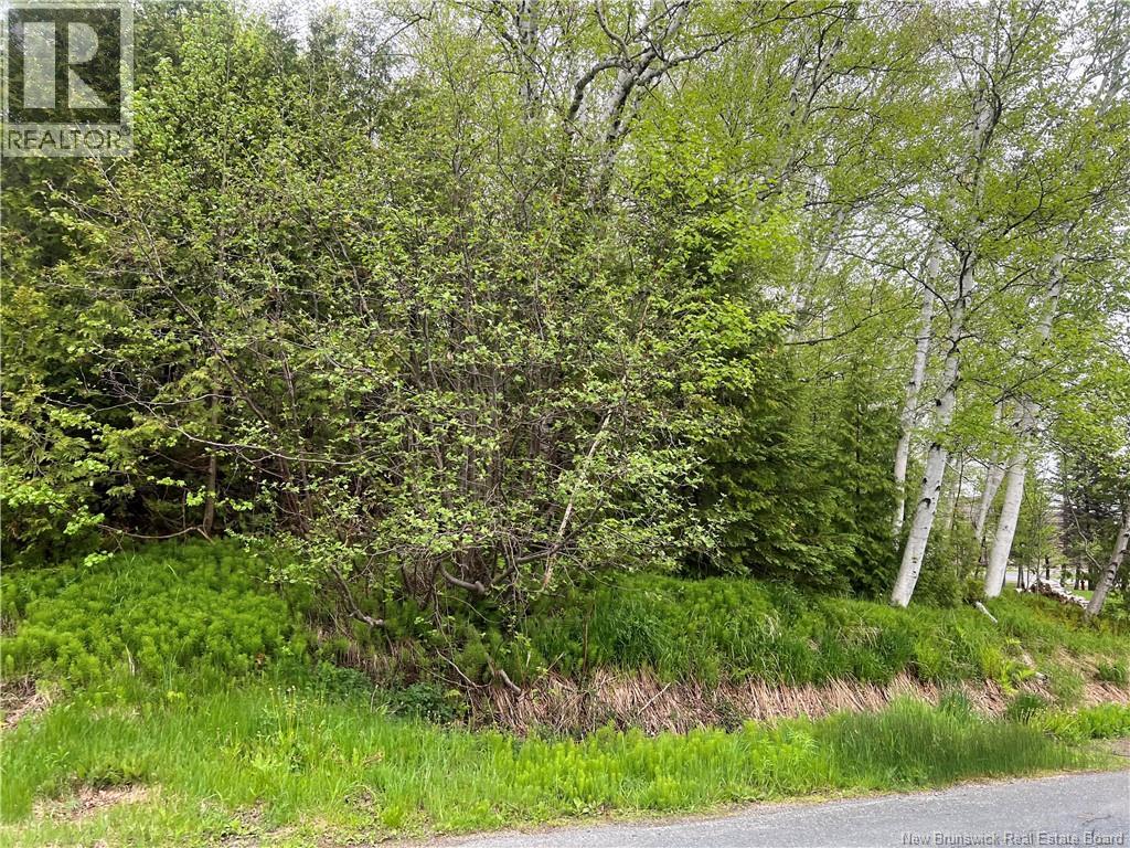 1920 Alex Anderson Avenue, Bathurst, New Brunswick  E2A 4Y2 - Photo 5 - NB131920