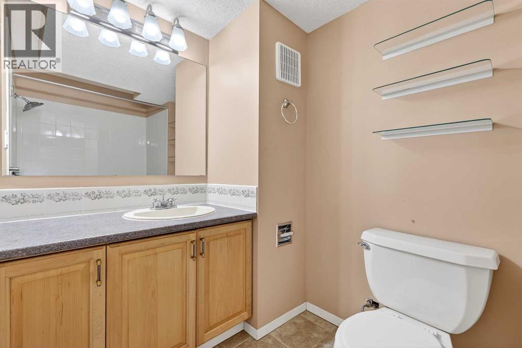 171 Deerfield Drive Se, Calgary, Alberta  T2J 7B7 - Photo 24 - A2278339