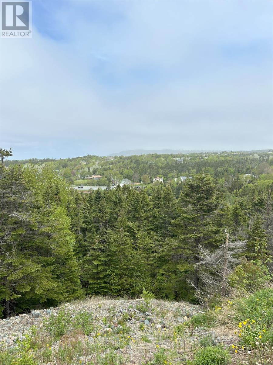 41-43 Easons Road, Conception Bay South, Newfoundland & Labrador  A1W 3B9 - Photo 2 - 1293629