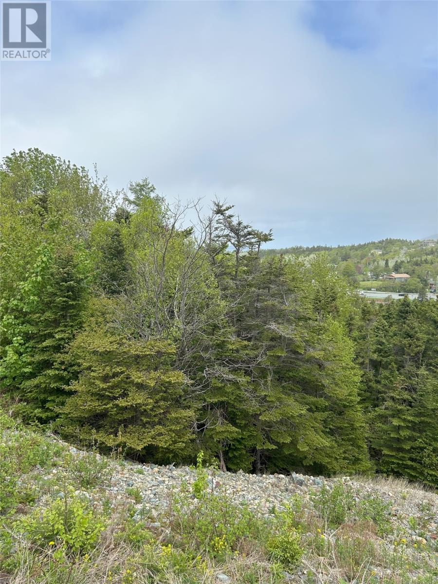 41-43 Easons Road, Conception Bay South, Newfoundland & Labrador  A1W 3B9 - Photo 3 - 1293629