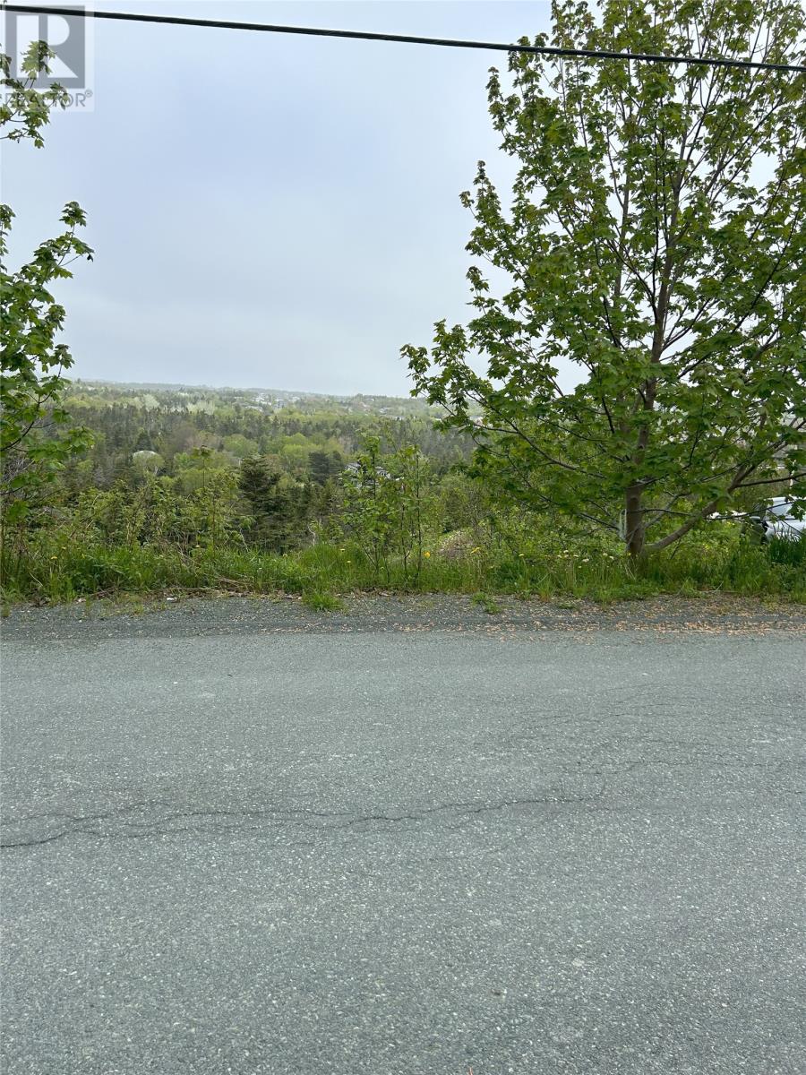 41-43 Easons Road, Conception Bay South, Newfoundland & Labrador  A1W 3B9 - Photo 5 - 1293629