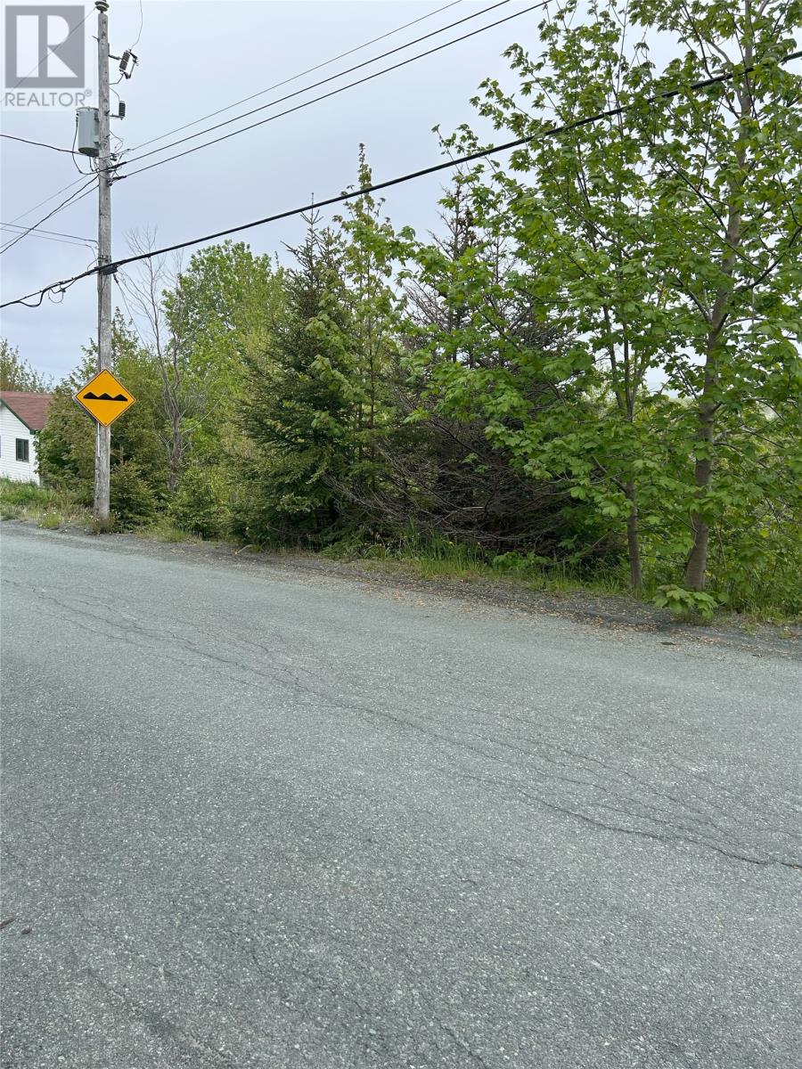 41-43 Easons Road, Conception Bay South, Newfoundland & Labrador  A1W 3B9 - Photo 6 - 1293629