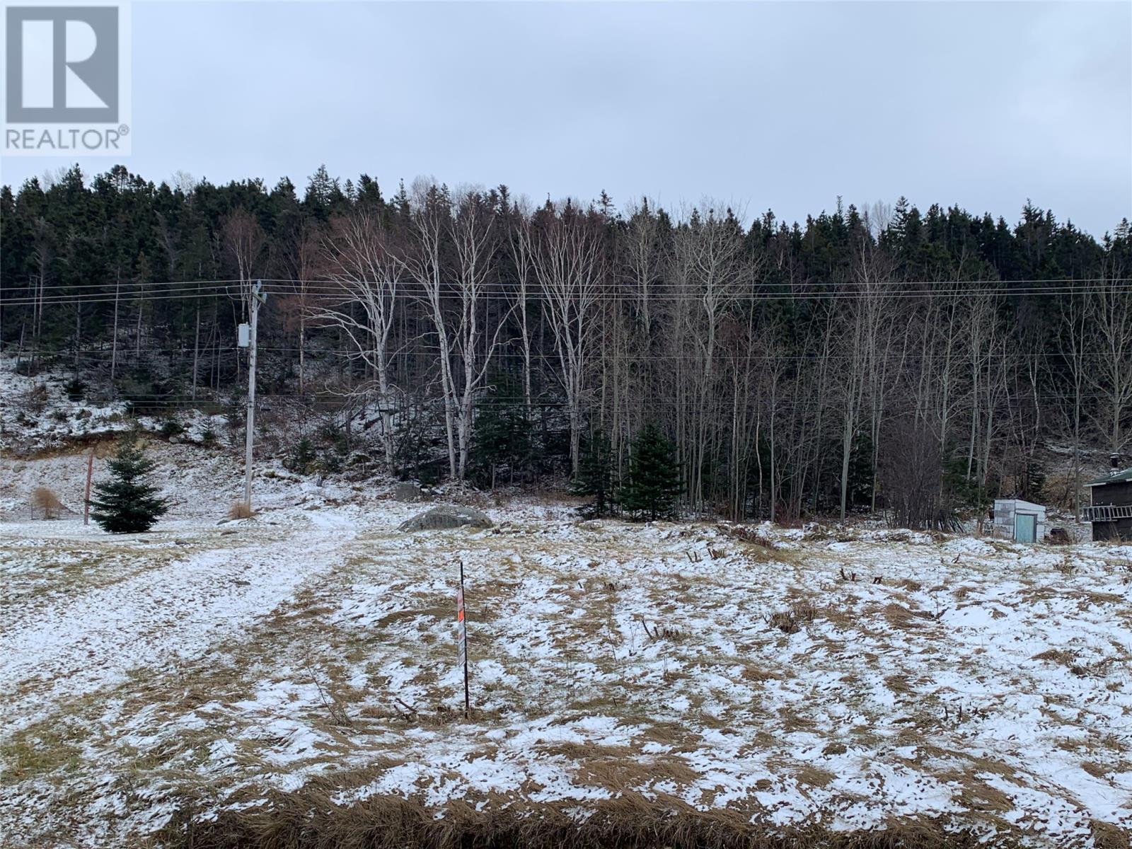 187 Citizens Drive, Norris Arm, Newfoundland & Labrador  A0G 3M0 - Photo 10 - 1266930