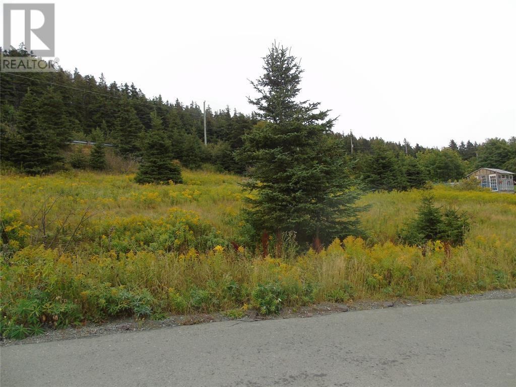 0 Southside Lance Cove Road, Bell Island, Newfoundland & Labrador  A0A 4H0 - Photo 3 - 1293472