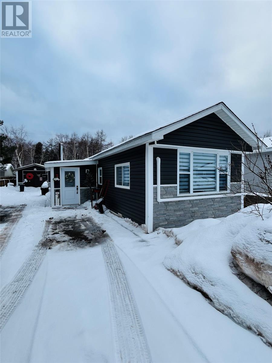 3 Eltero Park, Bishop's Falls, Newfoundland & Labrador  A0H 1C0 - Photo 1 - 1293596