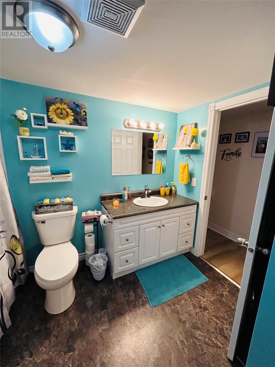 3 Eltero Park, Bishop's Falls, Newfoundland & Labrador  A0H 1C0 - Photo 26 - 1293596